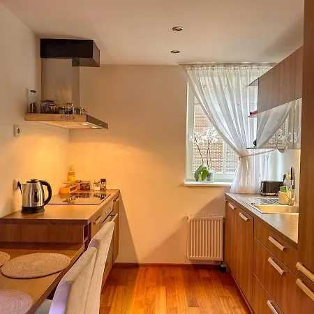 2 Level Home In Tallinn City Center With Sauna And Free Parking Апартаменты *